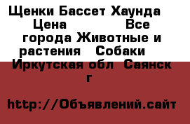 Щенки Бассет Хаунда  › Цена ­ 25 000 - Все города Животные и растения » Собаки   . Иркутская обл.,Саянск г.
